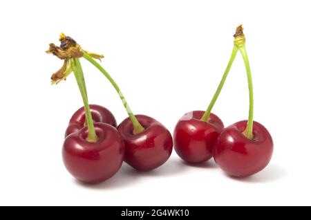 Rote Kirschen auf weißem Hintergrund Reif Stockfoto