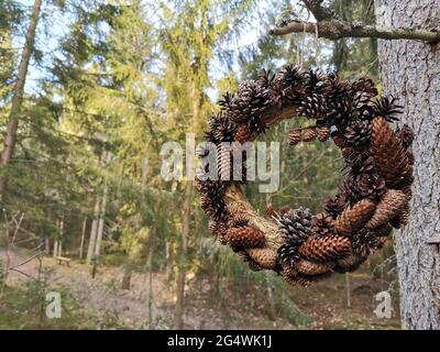 Eine Krone aus den Kegeln von Nadelbäumen, mit einem Wald als Hintergrund. Stockfoto