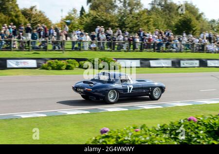 Publikum, das beim Goodwood Revival 2011, West Sussex, Großbritannien, einen klassischen Jaguar E-Typ ansieht. Schöne Kulisse für eine Rennstrecke Stockfoto