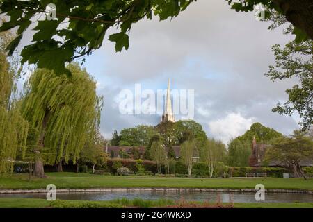 Der Turm der Kathedrale von Salisbury, vom Queen Elizabeth Park aus gesehen, wiltshire, England Stockfoto