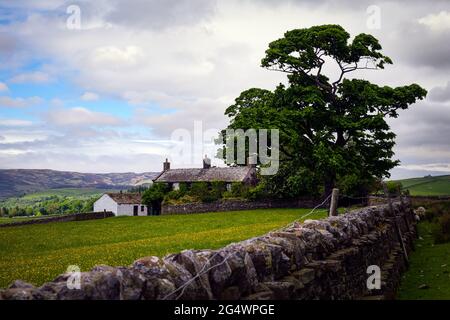 UPPER TEESDALES, ENGLAND - 9. JUNI 2021: Typisches Haus und weiß getünchte Scheune im Frühjahr in Upper Teesdale, County Durham, England Stockfoto