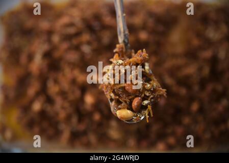 Gebratene Sardelle mit Red Hot Spicy Sauce, Balado Teri Medan Stockfoto