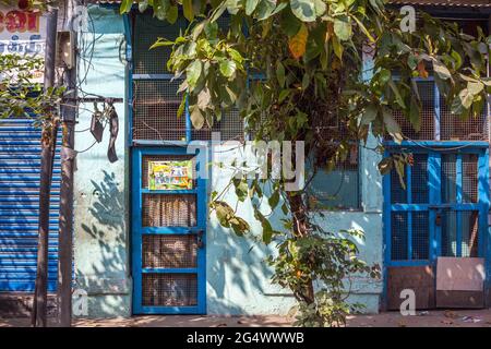 Blaue Tür mit Baum im Vordergrund und angestrahltem Sonnenlicht schaffen Schatten auf hellblau gemalten Wänden, Trichy, Tamil Nadu, Indien Stockfoto