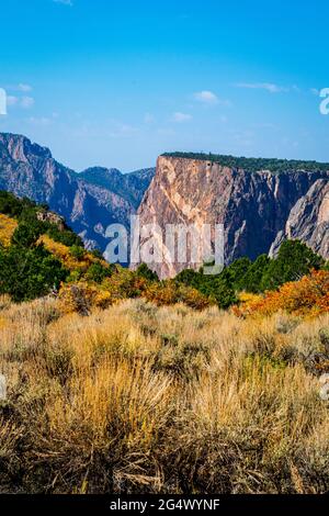 Herbstfarben umreißen den Blick auf die Painted Wall entlang des North Rim Trail am Black Canyon of the Gunnison. Stockfoto