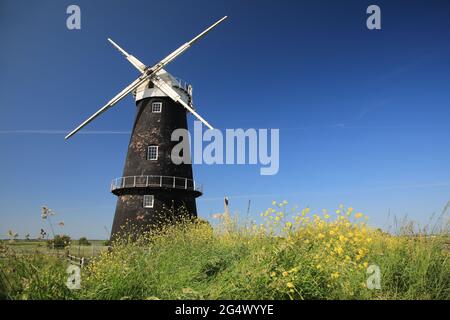 Norfolk Windmühlen Stockfoto