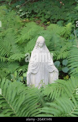 Eine Mutter-Maria-Statue unter Farnen Stockfoto