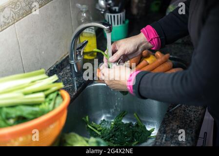 Mujer blanca lavando hojas y otros vegetales desde casa por la cuarentena, con agua en el fregadero de la cocina ,limpando algunas fruta y verdura pa Stockfoto