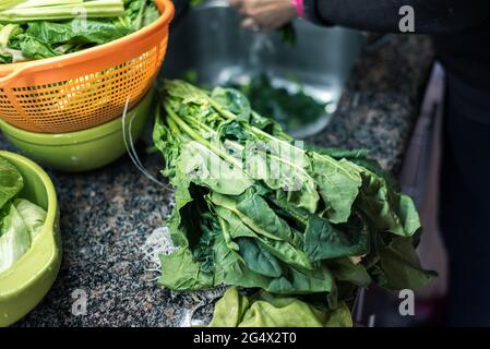 Mujer blanca lavando hojas y otros vegetales desde casa por la cuarentena, con agua en el fregadero de la cocina ,limpando algunas fruta y verdura pa Stockfoto