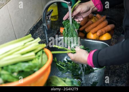 Mujer blanca lavando hojas y otros vegetales desde casa por la cuarentena, con agua en el fregadero de la cocina ,limpando algunas fruta y verdura pa Stockfoto