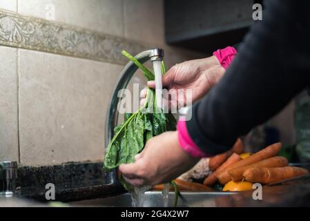 Mujer blanca lavando hojas y otros vegetales desde casa por la cuarentena, con agua en el fregadero de la cocina ,limpando algunas fruta y verdura pa Stockfoto