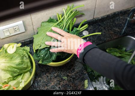 Mujer blanca lavando hojas y otros vegetales desde casa por la cuarentena, con agua en el fregadero de la cocina ,limpando algunas fruta y verdura pa Stockfoto