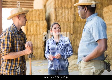 Gruppe von Arbeitern, die sich nach der Arbeit auf Milchviehbetrieben auf Heuballen ausruhen Stockfoto