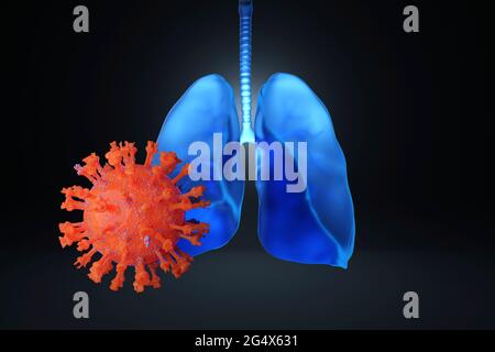 3D-Rendering COVID-19-Virusinfektion und menschliche Lunge Stockfoto