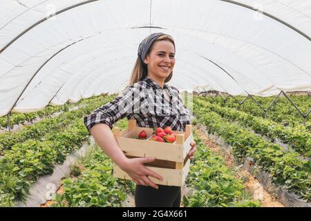 Lächelnde Bäuerin, die im Gewächshaus eine Kiste mit Erdbeeren trägt Stockfoto