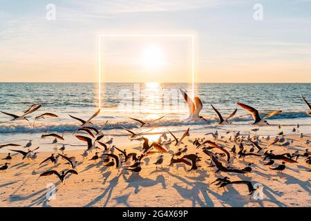 Am Lovers Key State Park Beach mit leuchtendem Platz im Hintergrund geht die Sonne über einer Möwenschar unter Stockfoto