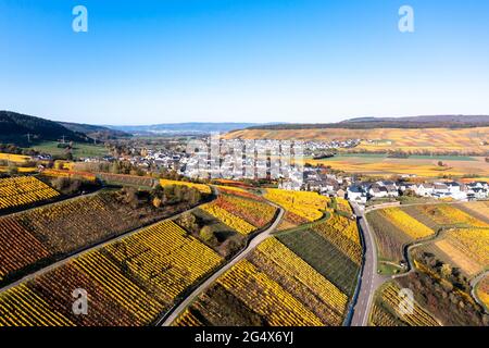 Deutschland, Rheinland-Pfalz, Hubschrauberlandeansicht des ländlichen Dorfes und der umliegenden Weinberge im Herbst Stockfoto