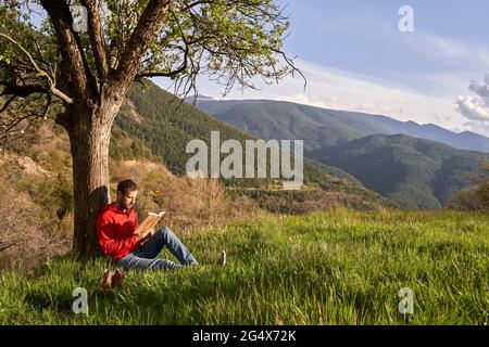 Ein Mann mittleren Erwachsenen liest das Buch, während er unter dem Baum auf dem Gras sitzt Stockfoto