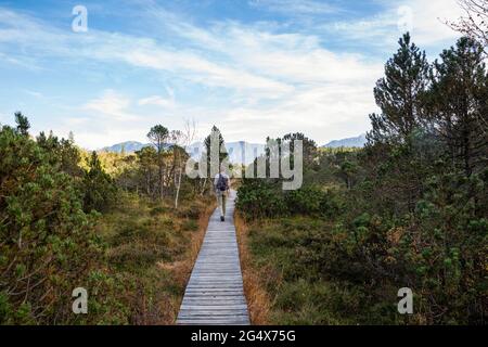 Reifer männlicher Reisender, der auf der Promenade inmitten von Pflanzen im Murnauer Moos, Bayern, Deutschland, spazierengeht Stockfoto