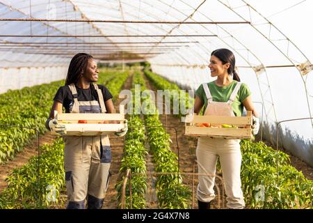 Lächelnde Farmerinnen, die einander angucken, während sie Kisten am Gewächshaus tragen Stockfoto