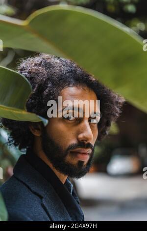 Junge lockige Haare Mann von Blättern Stockfoto