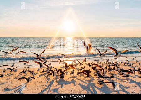 Am Lovers Key State Park Beach mit leuchtendem Dreieck im Hintergrund geht die Sonne über einer Möwenschar unter Stockfoto