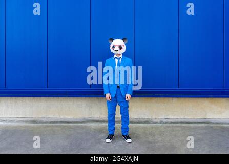 Mann in lebhaft blauem Anzug und Panda-Maske, der vor der blauen Wand steht Stockfoto