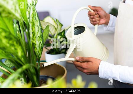 Weibliche Floristin gießt Topfpflanze während der Arbeit im Geschäft Stockfoto