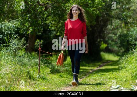 Junge Frau, die im Garten spazieren geht und einen Haufen frischer Karotten hält Stockfoto