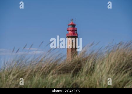 Flugge Leuchtturm mit Gräsern im Vordergrund Stockfoto