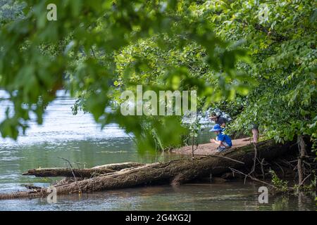 Vater und Kinder am Flussufer des Chattahoochee River im Island Ford Park im Chattahoochee River National Recreation Area in der Nähe von Atlanta. Stockfoto