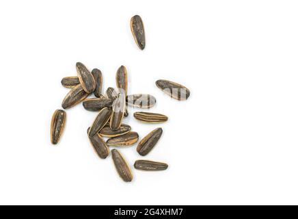 Nahaufnahme einer kleinen Gruppe gerösteter Sonnenblumenkerne auf weißem Hintergrund. Draufsicht geröstete Sonnenblumenkerne Snack. Stockfoto