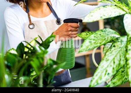 Junge weibliche Floristin, die Wasser auf die Pflanze im Geschäft sprüht Stockfoto