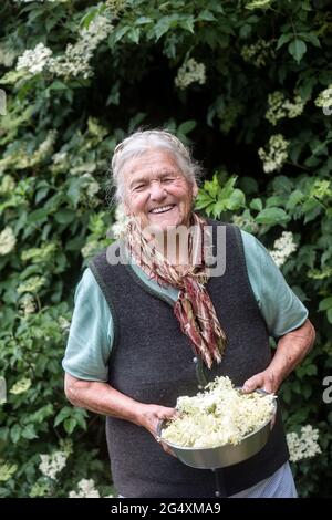 Glücklicher älterer Landwirt, der weiße Blumen in der Schüssel hält Stockfoto