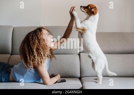 Lockige Frau, die zu Hause mit dem Hund auf dem Sofa spielt Stockfoto