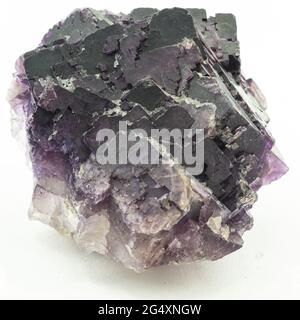 Mineralprobe aus violettem Fluorit mit vielen kubischen Kristallen Stockfoto