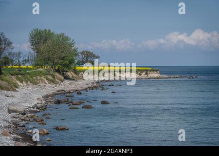 Küste der Insel Fehmarn Stockfoto