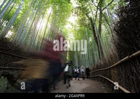 Menschen, die durch den Bambuswald in Arashiyama, Kyoto, Japan, wandern. Stockfoto