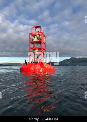 Rote Glockenboje-Kanalmarkierung nahe der Küste im Ozean Stockfoto