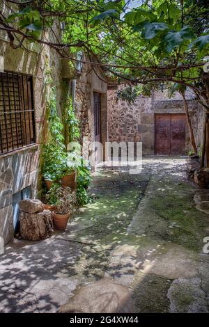 Acebo, schöne kleine Stadt in Sierra de Gata, Caceres, Extremadura, Spanien. Schöne schattige Ecke Stockfoto