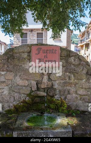 Acebo, schöne kleine Stadt in Sierra de Gata, Caceres, Extremadura, Spanien. Pappelbrunnen Stockfoto