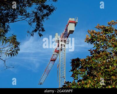 22.Mai 2021. Turmdrehkran mit weißer Cirruswolke in blauem Himmel und grünen Ästen im Vordergrund. Baustelle bei 56-58 Beane St. Gosford. Aus Stockfoto