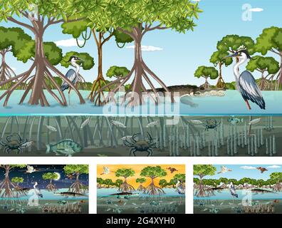 Verschiedene Mangrovenwaldlandschaftsszenen mit Tieren und Pflanzen Illustration Stock Vektor