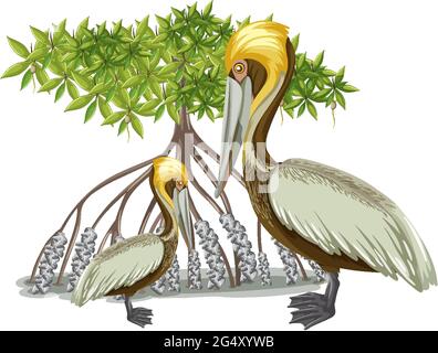 Brauner Pelikan mit Mangrovenbaum im Cartoon-Stil auf weißer Hintergrundgrafik Stock Vektor