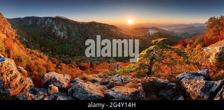 Herbst ländlichen wald landschaft bei Sonnenuntergang Stockfoto