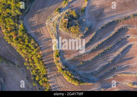 Luftaufnahme einiger Felder mit Frost in Navàs, bei einem Winteraufgang (Bages, Barcelona, Katalonien, Spanien) ESP: Vista aérea de unos campos con escarcha Stockfoto