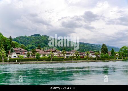 Herrliche Postkartenansicht auf den Thunersee (Thunersee, Thuner See), alpen Eiger, Jungfrau, Mönch (Mönch, Mönch), mit einem Vogel. Thun, Schweiz. Stockfoto