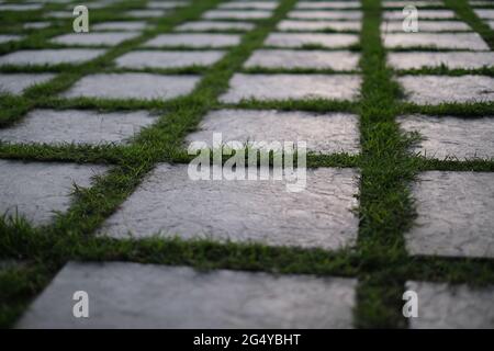 Ordentlich angeordnete Betonfliesen werden in einem frischen Gras überschwemmt Stockfoto