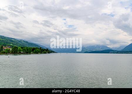 Herrliche Postkartenansicht auf den Thunersee (Thunersee, Thuner See), alpen Eiger, Jungfrau, Mönch (Mönch, Mönch), mit einem Vogel. Thun, Schweiz. Stockfoto