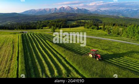 Traktor mäht das Gras mit schönen hohen Bergen im Hintergrund, Luftaufnahme. Heuen im Bergdorf. Traktor während der Ernte. Stockfoto