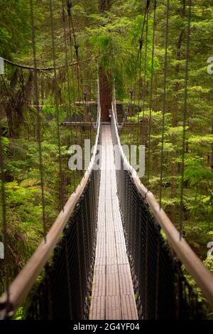 Blick auf Redwood Tree Top Walks, in Redwoods Whakarewarewa Forest. Aufgenommen in Rotorua, Neuseeland am 28. November 2019. Stockfoto